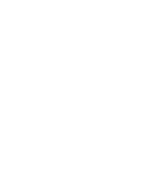 corvinbp-logo